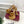 GG Janaya Platform Sandals 15.5cm Brown Suede 891842