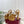 GG Janaya Platform Sandals 15.5cm Brown Suede 891842