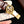Patek Philippe Annual Calendar 42mm Diamond Benzel Rose Gold Case Brown Leather Strap