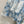 ZIMMER FLORAL PRINTED BLUE CHIFFON SET 269183