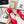 CC 26s Flat Sandals Red Black Cowhide Patent Leather 183574