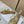 CD 26s Crystal Sandals Gold Champage Genuine Leather 643499