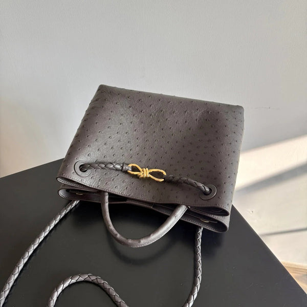 Bottega Veneta 2026 Sac Andiamo en cuir d'autruche marron foncé