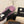 CC 26s Baskets décontractées en cuir violet clair 183614