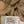 MAX MARA 25S GOOSE DOWN JACKET 122