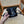 YSL Jamie Mini Crossbody Bag 16 Black Lambskin Gold Hardware