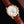 Patek Philippe Annual Calendar 42mm Diamond Benzel Rose Gold Case Brown Leather Strap