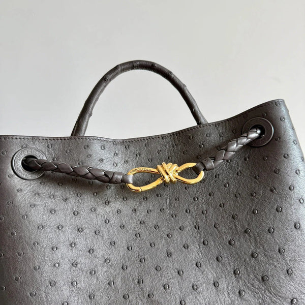 Bottega Veneta 2026 Sac Andiamo en cuir d'autruche marron foncé