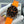 IWC Pilot's Chronograph 41mm Black Dial Orange Rubber Strap