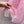 Gucci 2026 GG Tie-neck Printed Chiffon Shirt Pink Polyester 131877