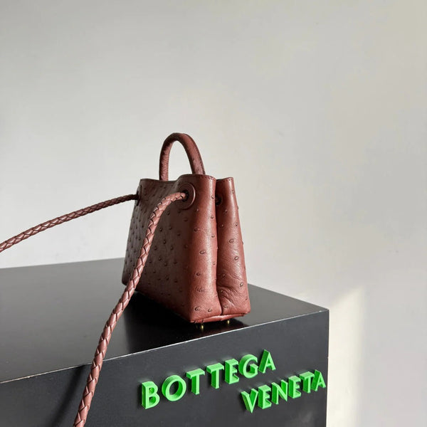 Sac Andiamo en cuir d'autruche Sapele Bottega Veneta 2026 20,5 cm