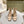 CD 26s High Heel Sandal 65 Beige Sheepskin 661538