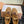 Miu Miu 2026 Espadrille Sneaker Brown Suede Woven 621338