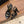 CC 26s Sandales 80 Mouton Noir 183530