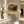 Loew Straw Hat With Pearl and Logo 280797