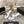 Chanel 2026 Double C Pearl High-Heeled Sandals Leather Lambskin 834456
