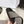 YSL 26ss Platform Slippers Black Gray Denim Leather 663216