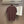 PRA 2026 Men's Short Polo Shirt Brown Knit Fabric 858387