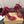 CL 2026 Heeled Sandals 100mm Printed Crepe Satin 791569