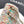 Chanel 2026 Flap Bag 20cm Multicolor Sequin Leather