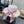 CC Flat-top Straw Hat With Silk Bow 279632