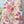 Zimmermann 2026 Dress 537