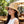 CC Bow-tie Straw Hat 279626