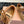 Miu Miu 2026 Espadrille Sneaker Brown Suede Woven 621338