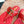 CC 26s Thong Sandals Red Sheepskin 648260