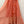 Zimmermann 2026 Dress 440