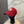 CC Logo Baseball Cap 295335