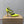 CL 26SS High Heel Pump 100 Neon Yellow Patent Leather 613874