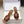 YSL 26ss High-Heeled Mules 85 Brown Satin Leather 660671