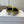 Celine 26 Pointed-Toe Slingback Yellow Sheepskin 624684