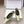 YSL 26ss Flat Slingback Light Green Glossy Leather 654709