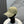 Balen Baseball Cap Cotton 323769