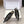 YSL 26ss Flat Slingback Black Sheepskin 654713
