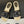 CC 26s Camellia Slippers Beige Black Rope Smooth Leather 649402