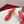 CL 2026 Just Loubi 100mm Mules PVC Lambskin 780411