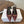 Celine 26 Pointed-Toe Slingback Burgundy Sheepskin 624683