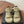 CC 2026 Platform Sandals Lambskin 833986