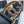 DOUBLE C BELT 38MM IN BLACK QUILTED LAMBSKIN GOLD OVAL BUCKLE CENTERED BLACK LOGO