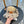 CAPPELLO DI PAGLIA CON FIORE IN CHIFFON BEIGE 672761
