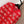 MIUMIU CARDIGAN STYLE 703
