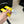CC 30MM BELT IN BRIGHT YELLOW AND BLACK CALFSKIN WITH SILVER HARDWARE