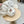 CELINE 25S BUCKET BOW HAT 733404 IN IVORY