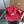 Miu Drill Hat 299646