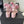 CC 26s Sandals 55 Light Pink Sheepskin Mixed Gold Charm 650083