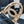 DOUBLE C BELT 38MM IN BLACK QUILTED LAMBSKIN GOLD OVAL BUCKLE CENTERED WHITE LOGO