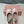 BALLET FLAT SHOES LIGHT PINK COLOR GLOSSY SHEEPSKIN